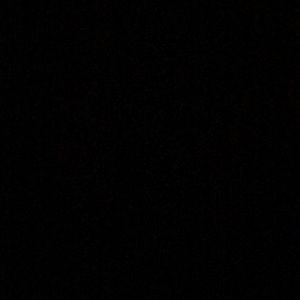 Meet your Posher, Leo